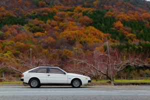ちょっと進むと背景が桃の木になる