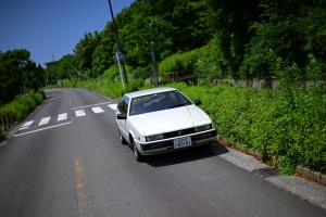 DSC_5180.JPG_compressed
