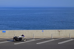 コレは平日じゃないと撮れない